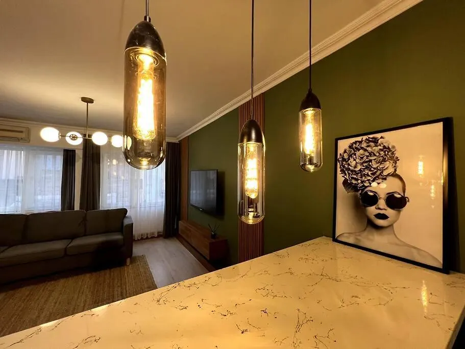 Cozy 2Br Renovated Apartment 1 Min To Metro Istanbul